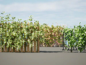 Lush Honeysuckle Garden 3D Model