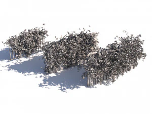 Lush Honeysuckle Garden 3D Model