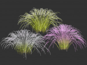 Purple Love Grass Collection 3D Model