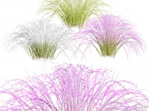 Purple Love Grass Collection 3D Model