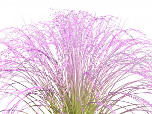 Purple Love Grass Collection 3D Model