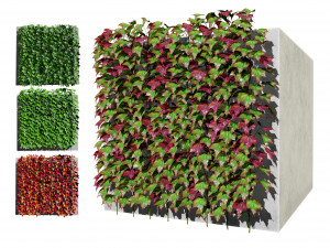 Virginia and Boston ivy climbers with free 3D Model