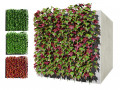 Virginia and Boston ivy climbers with free 3D मॉडल