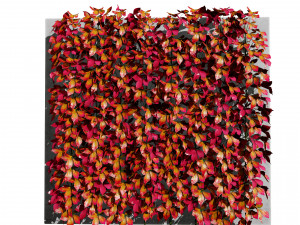 Virginia and Boston ivy climbers with free 3D Model