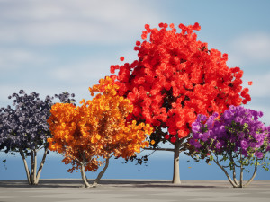Arboretum smoke trees 3D मॉडल