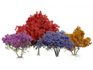 Arboretum smoke trees 3D Model