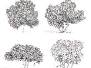 Arboretum smoke trees Modelo 3D