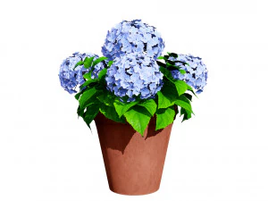 French Hydrangea Flowers with free 3D Model