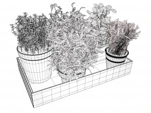 Rustic Herb Pot Plants 3D Model