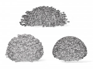 Aster flowering shrubs 3Dモデル