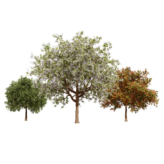 Prunus serotina trees 3D-Modell .c4d .max .obj .3ds .fbx .stl .blend 