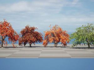 Weeping Japanese Maple Trees 3D Model