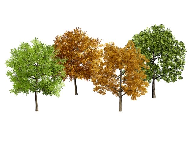 Low Poly Plane Tree Variety Pack with free 3D Model .c4d .max .obj .3ds .fbx .stl .blend 