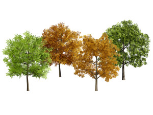 Low Poly Plane Tree Variety Pack with free 3D मॉडल