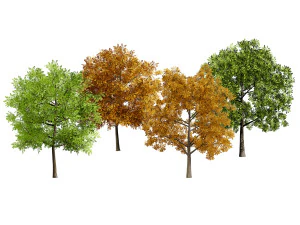 Paket Variasi Pohon Pesawat Poli Rendah dengan gratis Model 3D