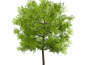 Low Poly Plane Tree Variety Pack with free 3D Model