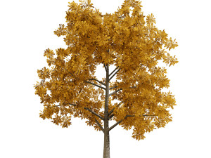 Low Poly Plane Tree Variety Pack with free 3D Model