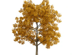 Low Poly Plane Tree Variety Pack with free 3D Model