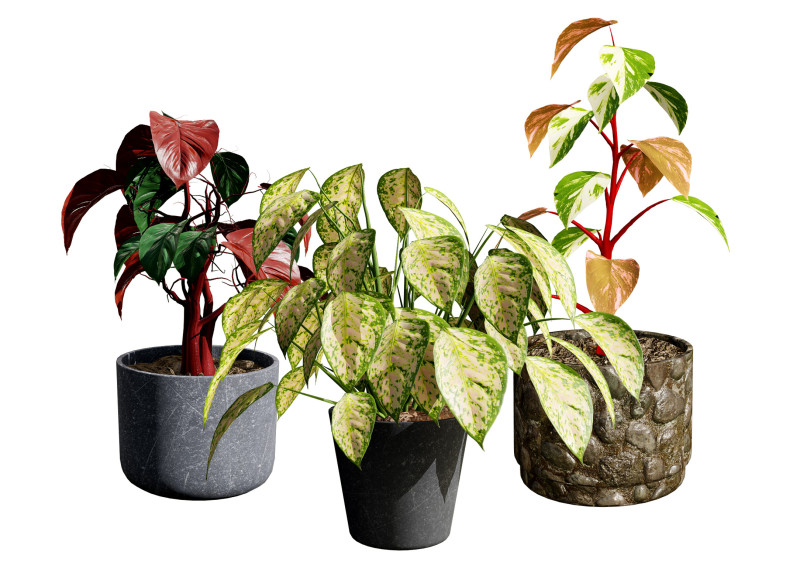 Potted Plants Collection Mix Match Greenery Modelo 3D .c4d .max .obj .3ds .fbx .stl .blend