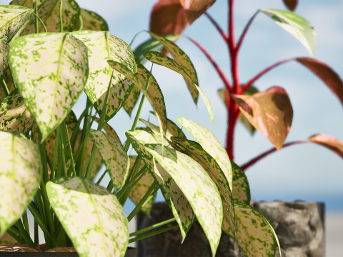 Potted Plants Collection Mix Match Greenery Modelo 3D