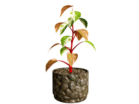 Potted Plants Collection Mix Match Greenery Modelo 3D