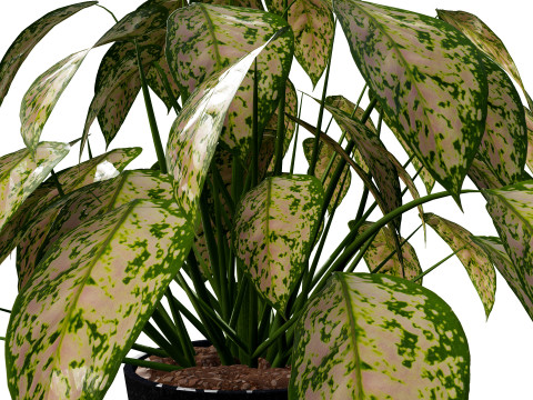 Potted Plants Collection Mix Match Greenery Modelo 3D
