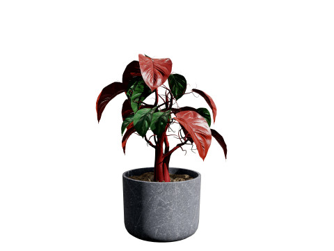 Potted Plants Collection Mix Match Greenery Modelo 3D