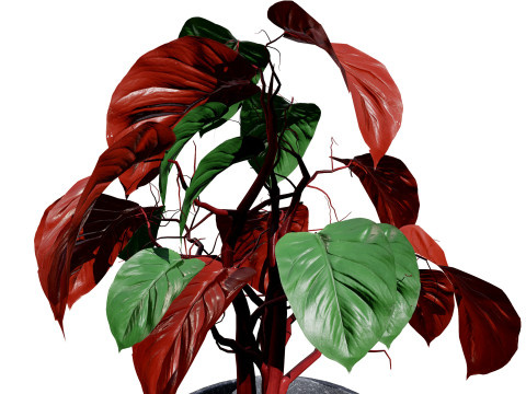Potted Plants Collection Mix Match Greenery Modelo 3D