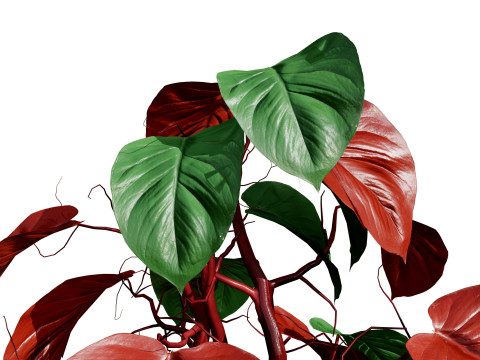 Potted Plants Collection Mix Match Greenery Modelo 3D