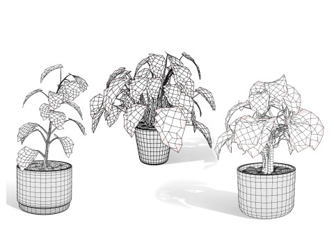 Potted Plants Collection Mix Match Greenery Modelo 3D