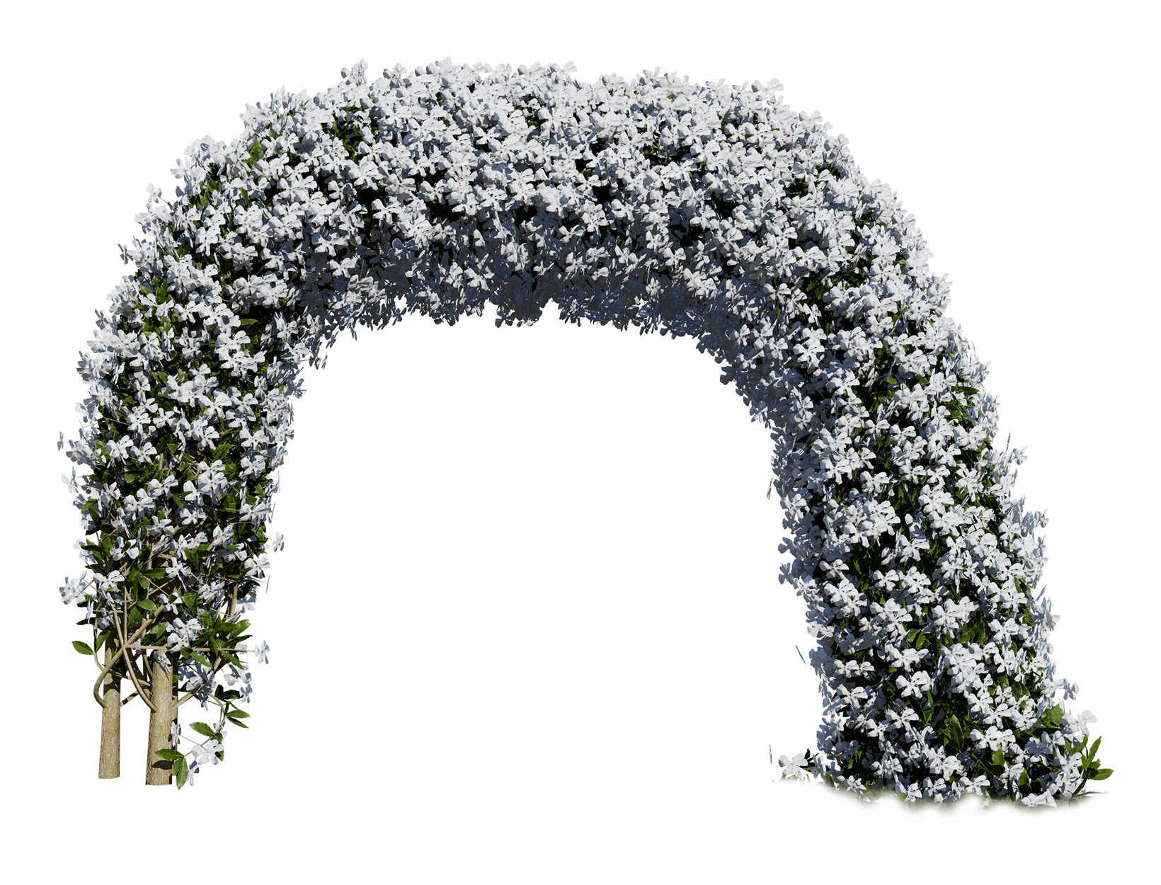 White Crepe Jasmine Arch 3D Asset 3D Model .c4d .max .obj .3ds .fbx .stl .blend 