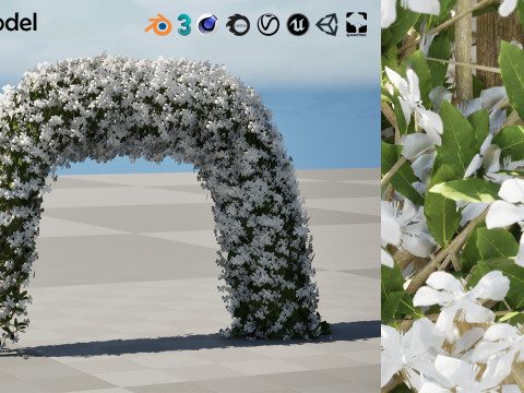 White Crepe Jasmine Arch 3D Asset 3D 模型