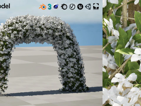 White Crepe Jasmine Arch 3D Asset 3D Model