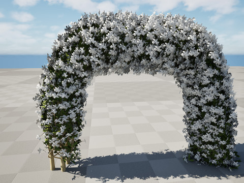 White Crepe Jasmine Arch 3D Asset 3D 模型