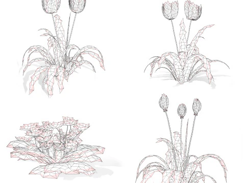 Primrose Tulip Bouquet 3D Model