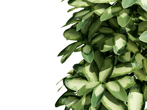 Saksılarda D&uuml;ş&uuml;k Poli Schefflera Bitkileri - 3D Varlık Oyununa Hazır 3D Model