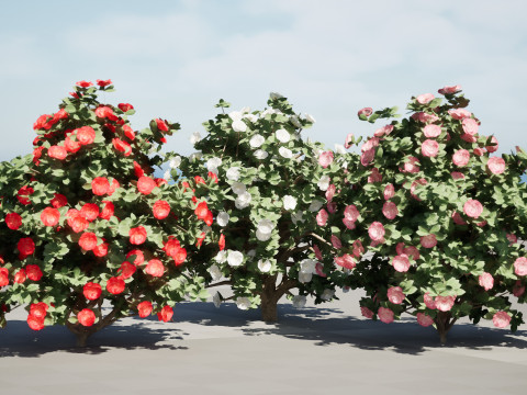 3D Camellia Flower Bush - Realistic Elegance for Your Designs 3D Модель