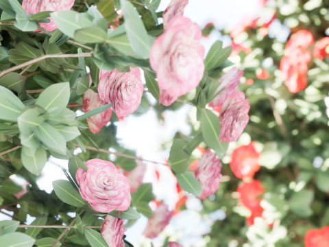 3D Camellia Flower Bush - Realistic Elegance for Your Designs 3D Модель