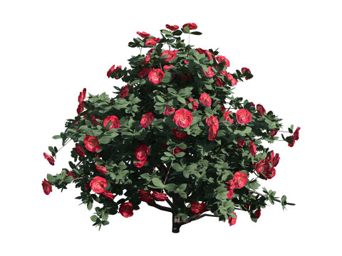 3D Camellia Flower Bush - Realistic Elegance for Your Designs 3D Модель
