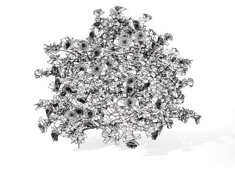 3D Camellia Flower Bush - Realistic Elegance for Your Designs 3D Модель
