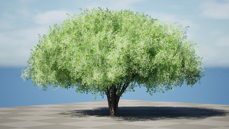Realistic Hazelnut Tree with Detailed Leaves Modelo 3D .c4d .max .obj .3ds .fbx .stl .blend 