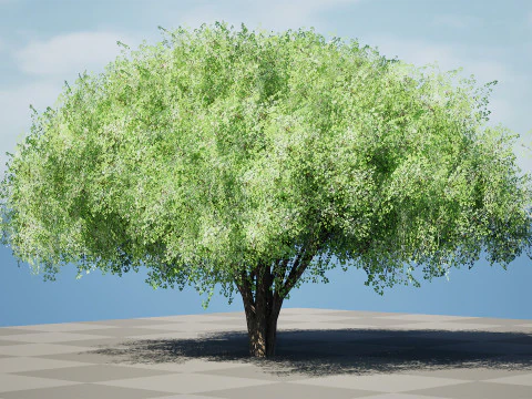 Detaylı Yapraklı Ger&ccedil;ek&ccedil;i Fındık Ağacı 3D Model