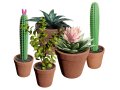 Potted Cactus 3D Модель