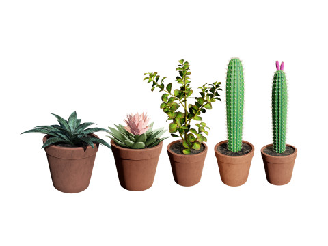 Potted Cactus Modelo 3D