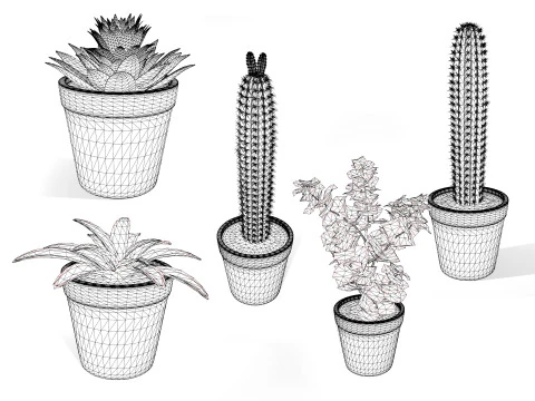 Potted Cactus 3D Model