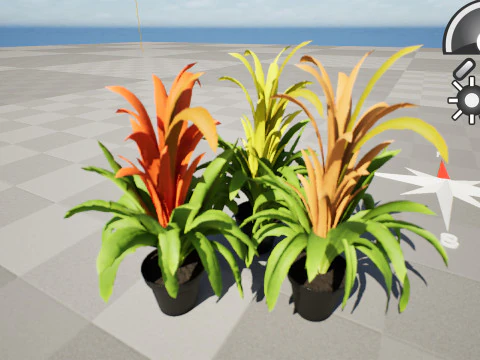 Bromeliad with 3 variations 3D Model