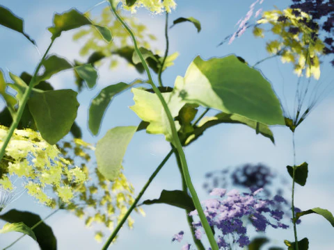 Wildflower Duo 3D Mode 3D Model