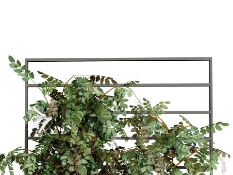 Potted Loropetalum Spalliera Climbers 3D Модель