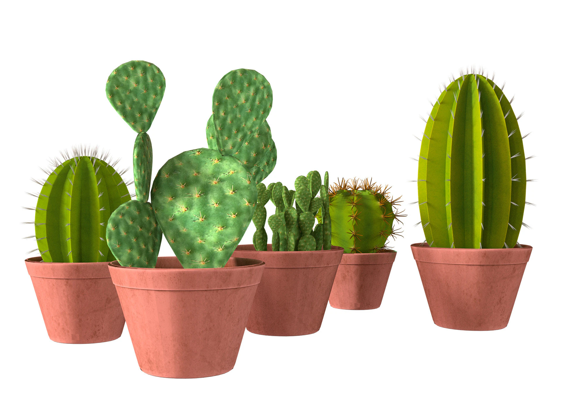 화분에 심은 선인장 컬렉션 3D 모델 .c4d .max .obj .3ds .fbx .stl .blend 