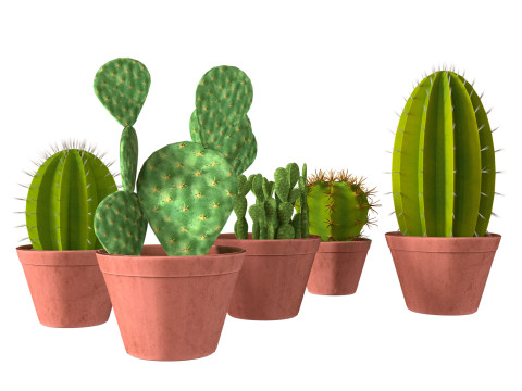 Potted cactus collection 3D मॉडल